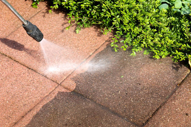 Roof Power Washing Services in Ridley Park, PA